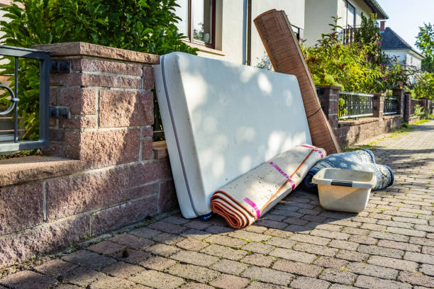 Shed Removal